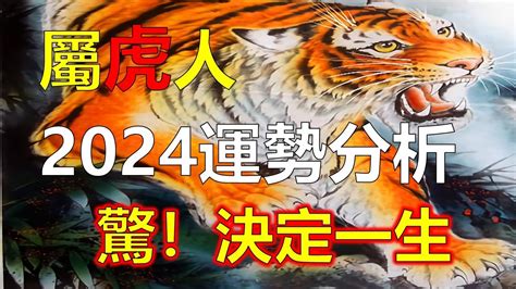 屬虎財運|【屬虎2023生肖運勢】財運步步高升，桃花運銳不可。